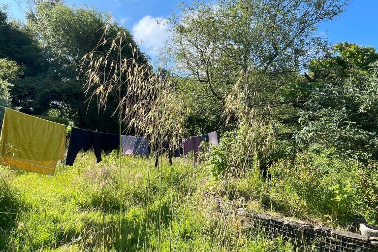 non-official redemedies, a section on old bood of home care