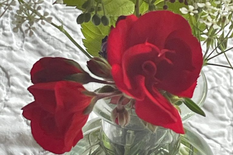 non-official redemedies, a section on old bood of home care